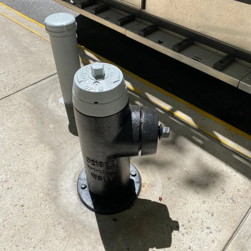 The fire hydrant repainted black and silver.