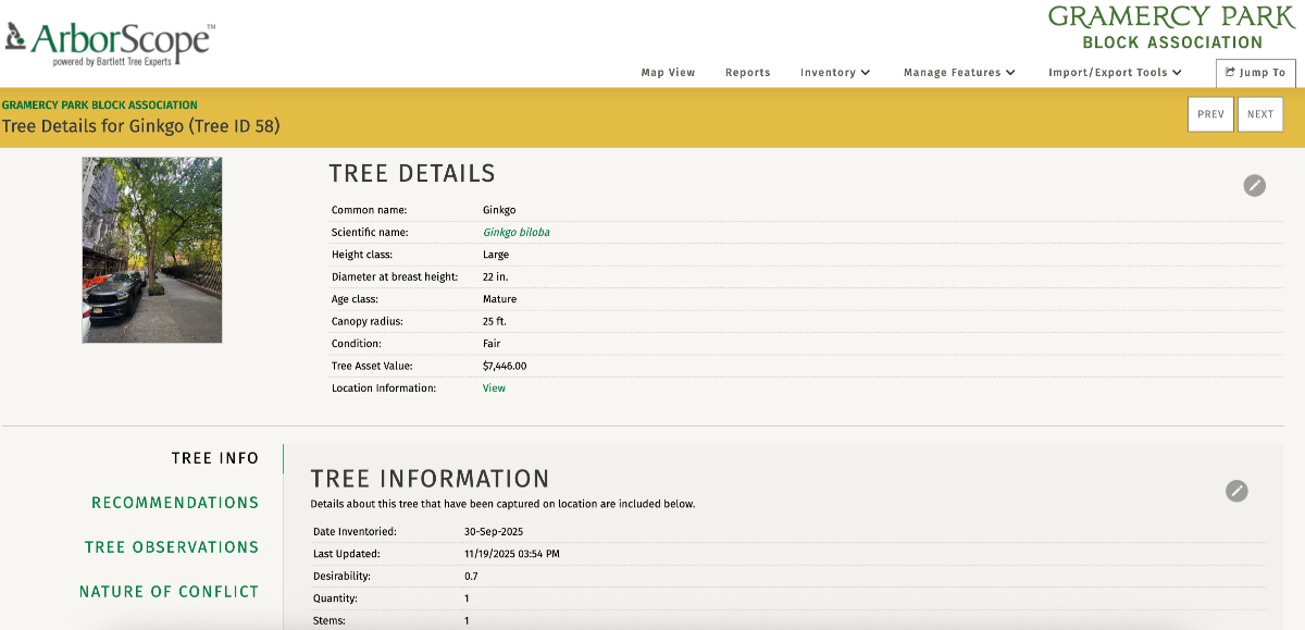 ArborScope detail page for Ginkgo tree ID 58, with a sidewalk tree photograph and fields describing the tree.