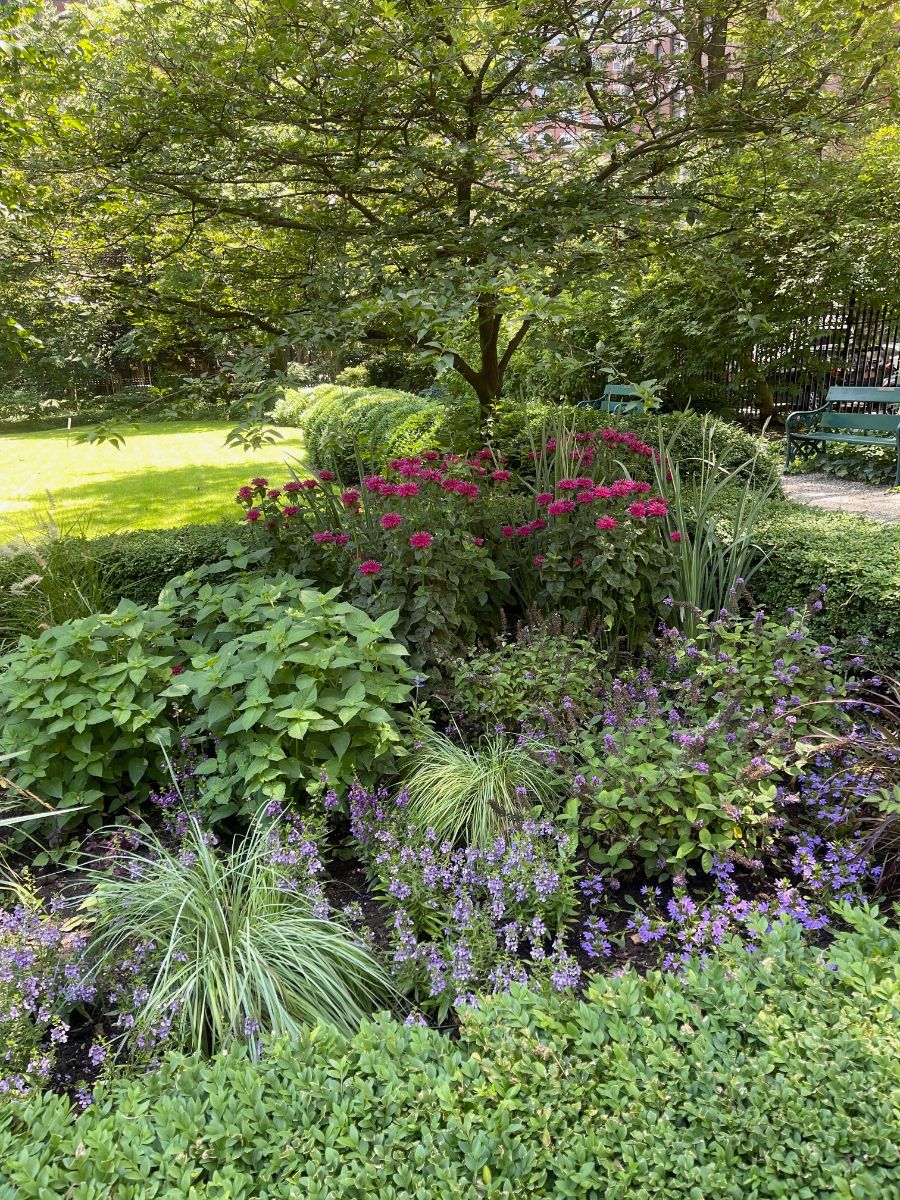 Layered green planting beds with pink and purple flowers beneath a tree.