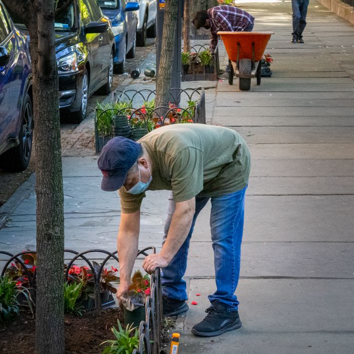 A worker tends a tree garden beside the Park, with planting supplies nearby.