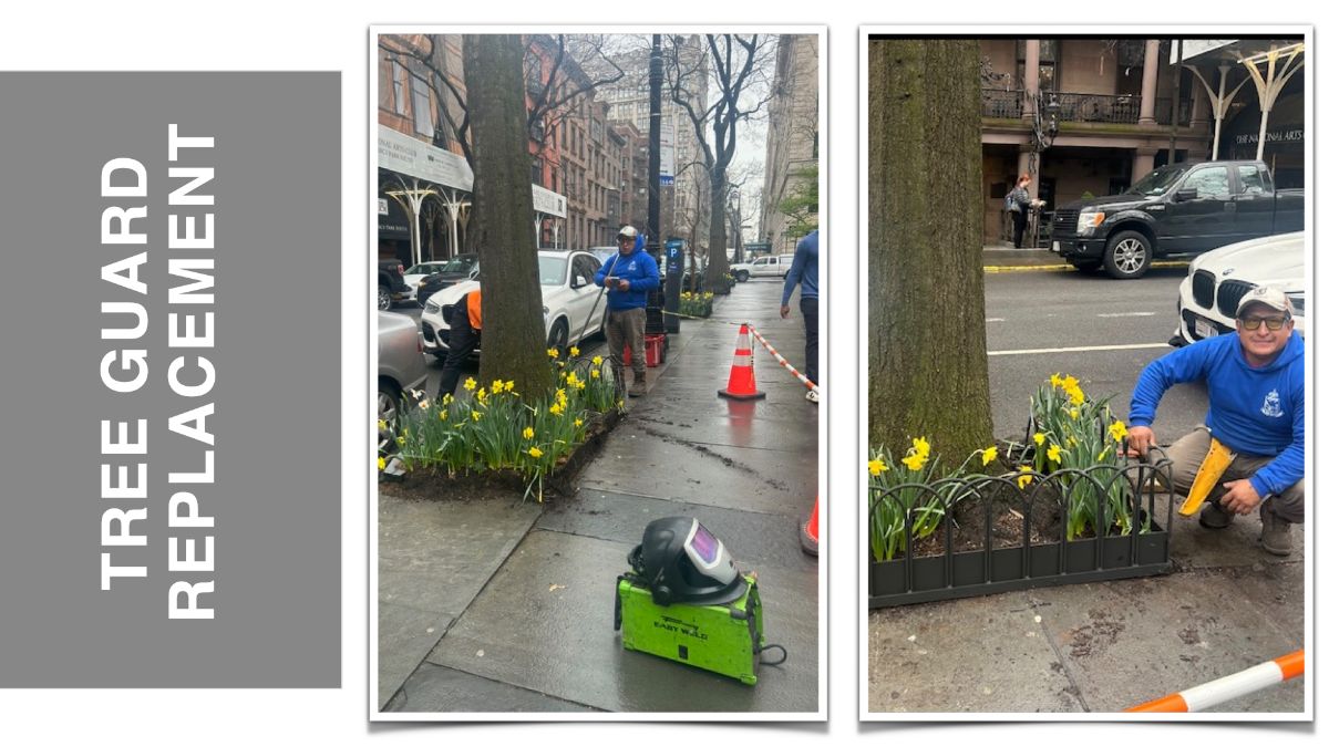 Tree Guard Replacement panel showing workers beside sidewalk tree beds.