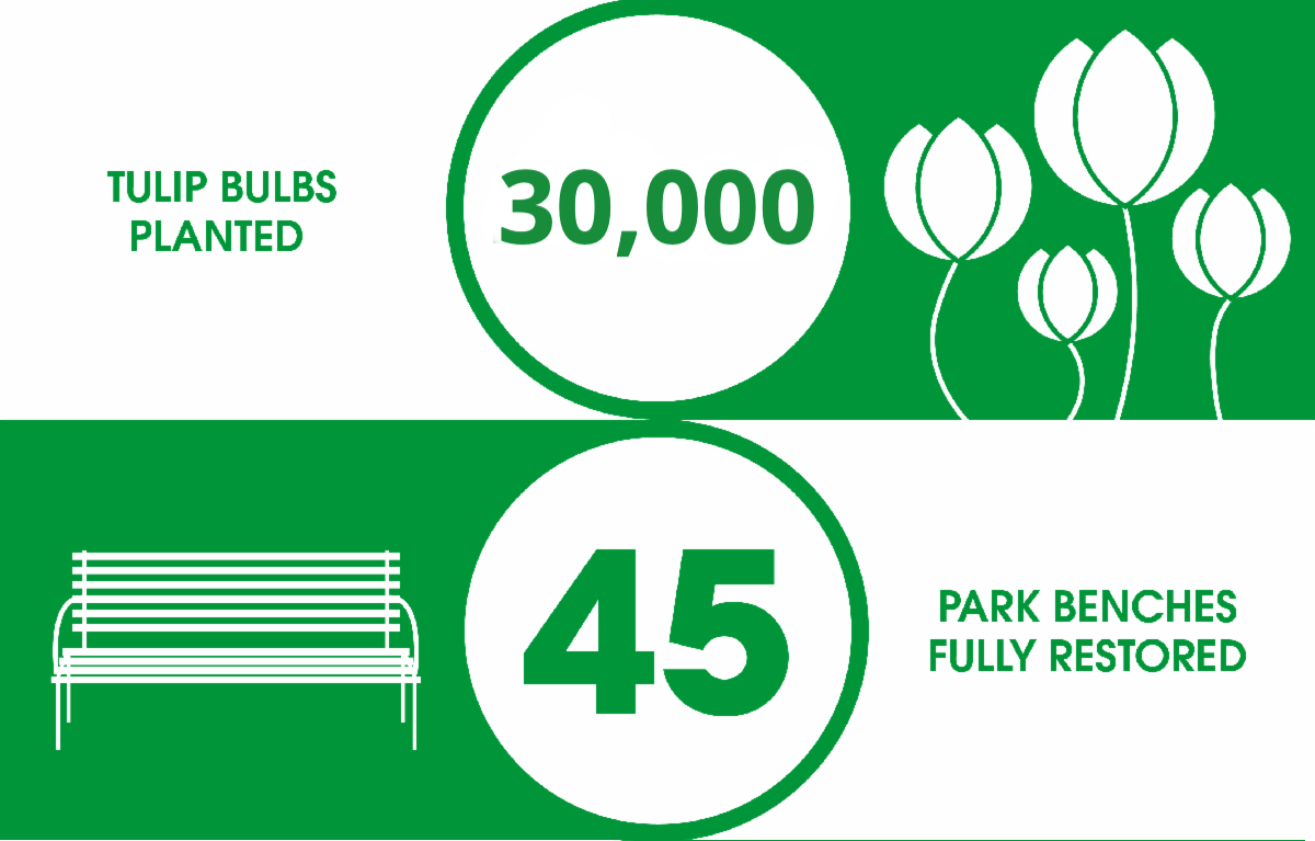 Infographic reporting 30,000 tulip bulbs planted and 45 Park benches fully restored.