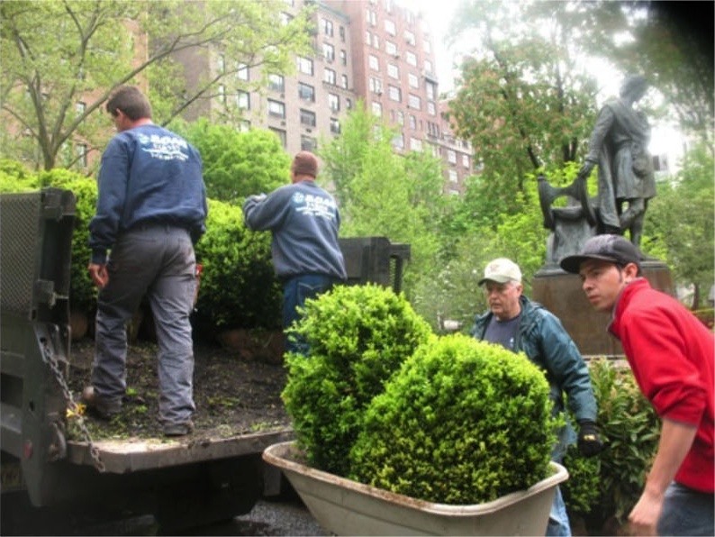 Workers unload boxwoods near the Booth monument.