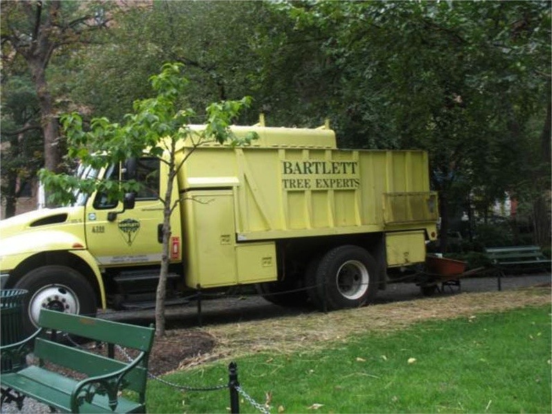 A Bartlett Tree Experts truck beneath the Park’s trees.