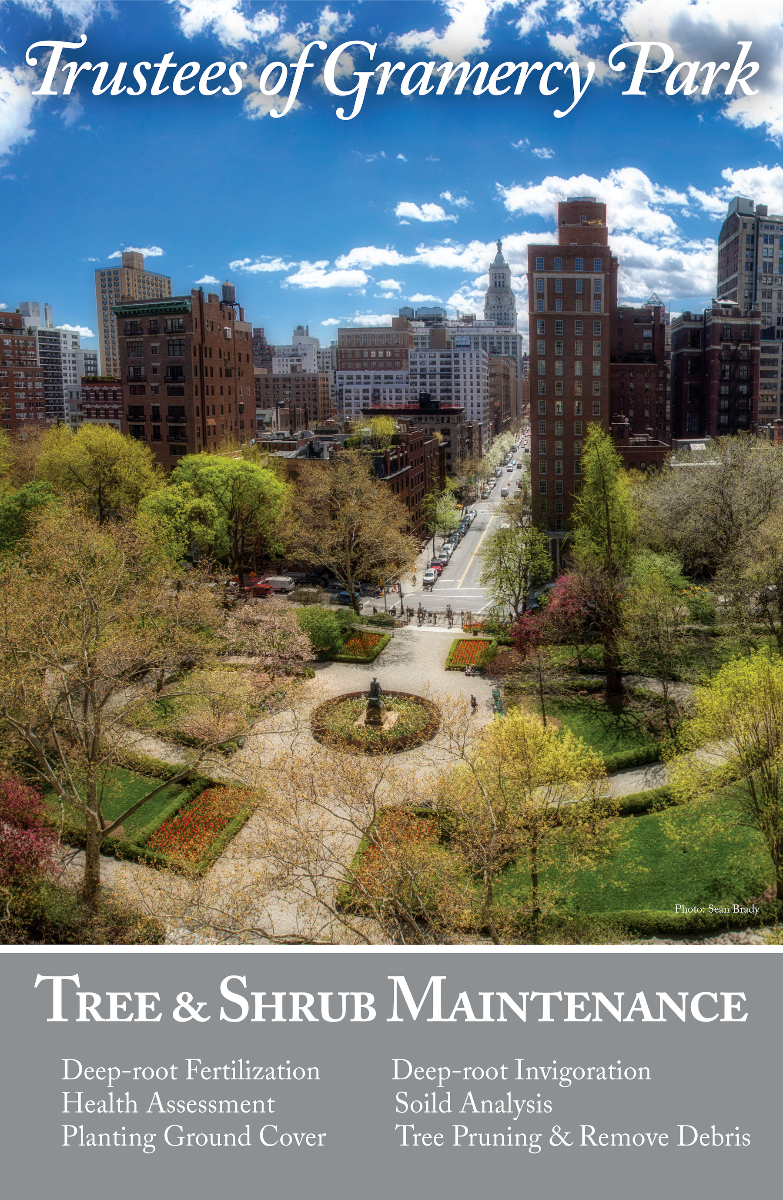 An elevated Park photograph above six categories of tree and shrub care.