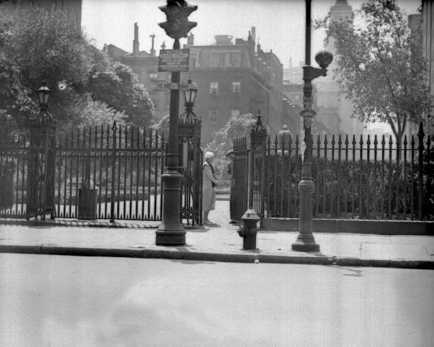 An open Park gate, with a traffic signal and fire hydrant outside the fence.