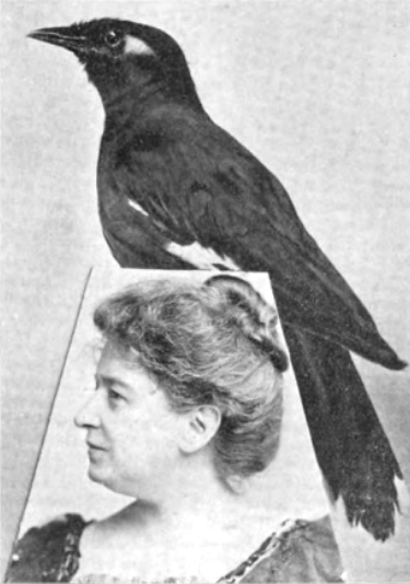 Composite photograph showing Emma Thursby in profile beneath her pet mynah bird.