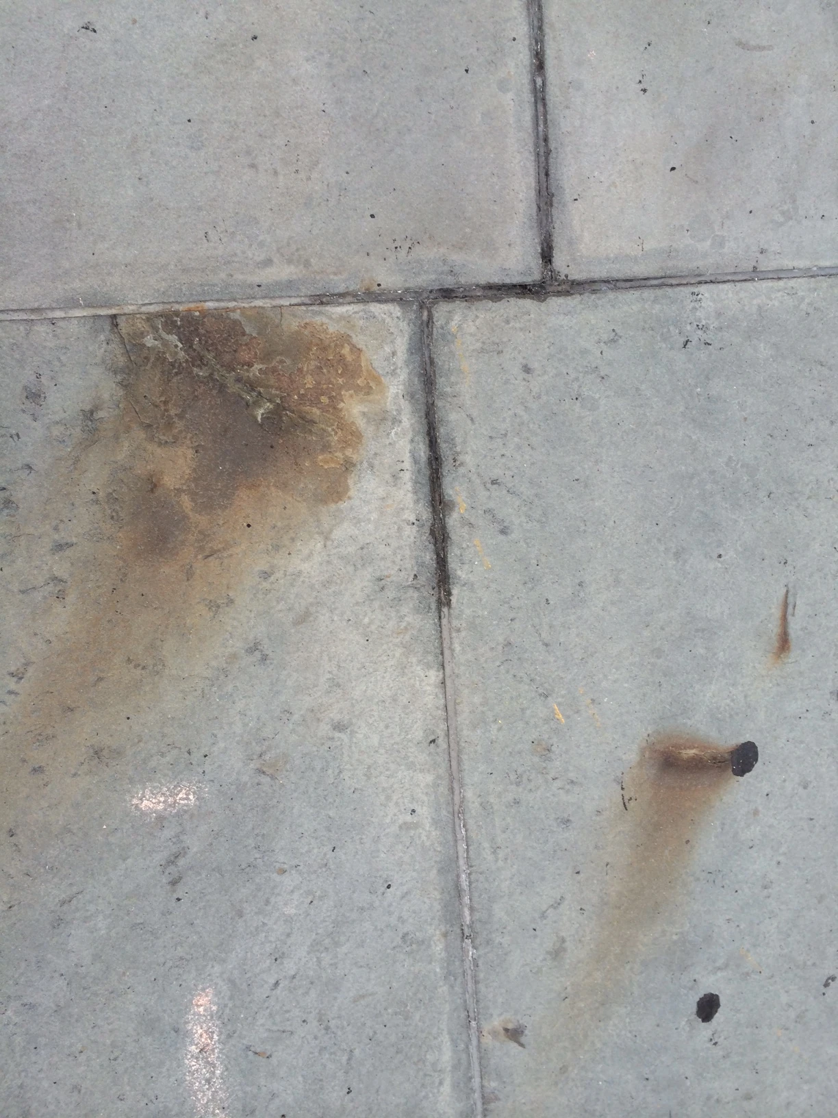 Bluestone staining at 18 Gramercy Park South, illustrated in the Block Association’s report describing proposed cleaning treatment.