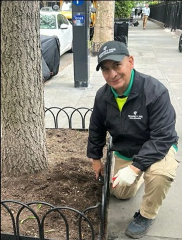 A Clean Streets worker kneels beside a tree garden and its metal guard.