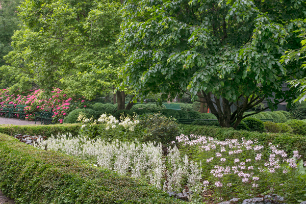 A closer view of the redesigned summer flower beds in Gramercy Park in 2013.