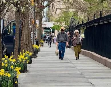 Pedestrians walk beside street trees, daffodils and the Park fence.