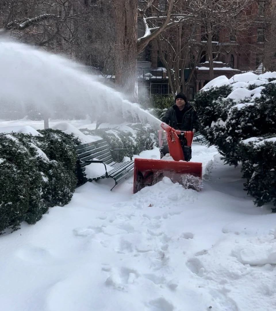 A worker operates a snow blower on a snow-covered path between shrubs.