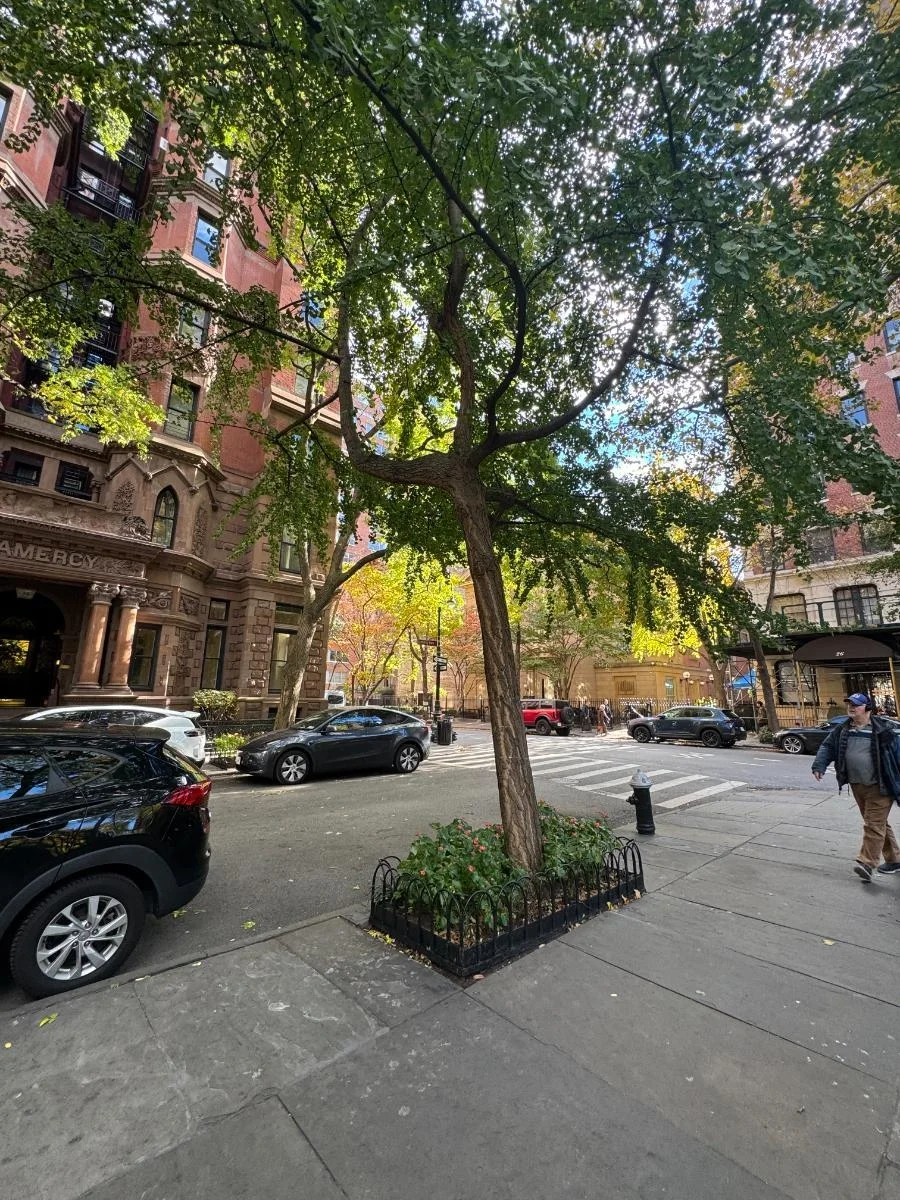 Ginkgo, tree 55, photographed for the Bartlett inventory — view 1.